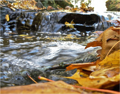 发卡网推荐的网站攻击工具